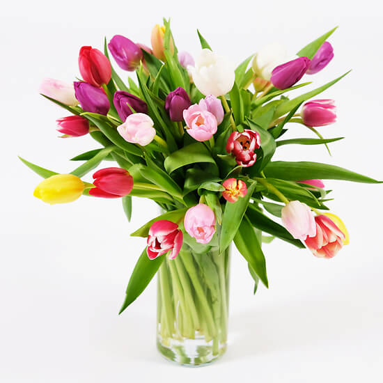 Arc-en-ciel – tulipes multicolores, livraison fleurs Valais
