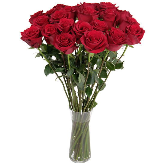 Roses Rouges du Fleuriste – longues tiges, livraison fleurs Valais